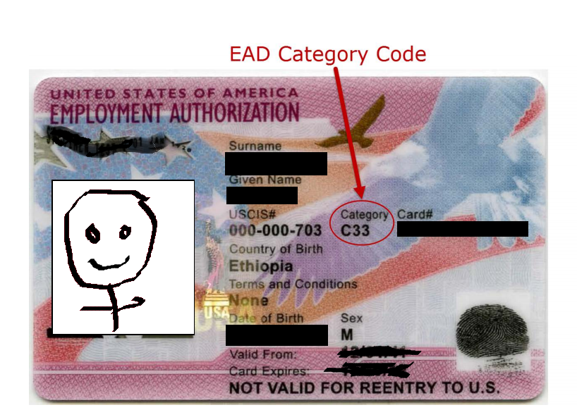 Example EAD Card with an arrow to indicate where the EAD category code can be found on the card.